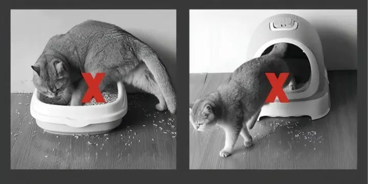 Kattebakkemåtte Stor Skridsikker 3