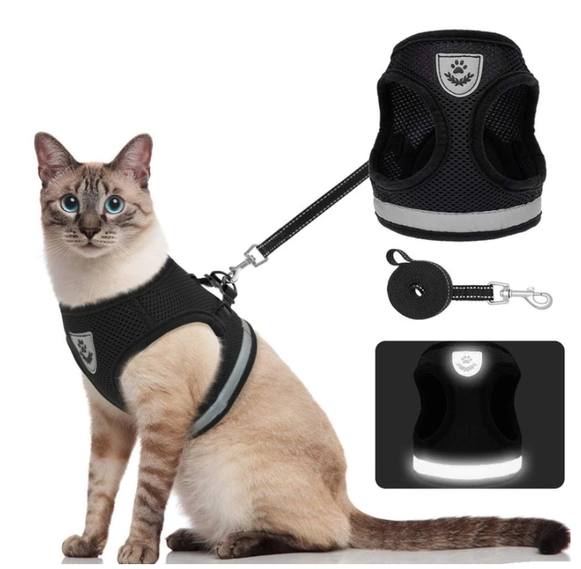 Kattesele Med Snor - AdventureKit til Sikker Gåture 0
