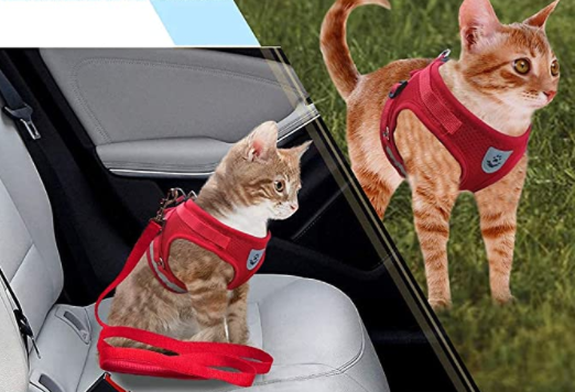 Kattesele Med Snor - AdventureKit til Sikker Gåture 3