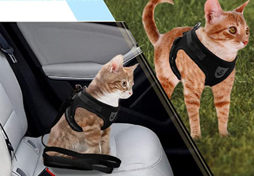 Kattesele Med Snor - AdventureKit til Sikker Gåture 5