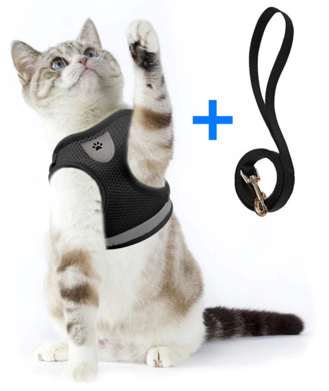 Kattesele Med Snor - AdventureKit til Sikker Gåture 7