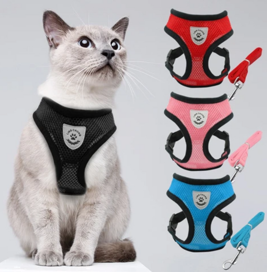 Kattesele Med Snor - AdventureKit til Sikker Gåture 8