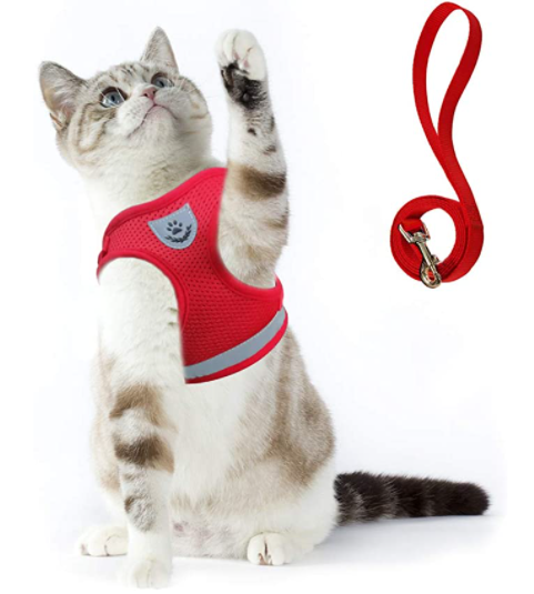 Kattesele Med Snor - AdventureKit til Sikker Gåture 9
