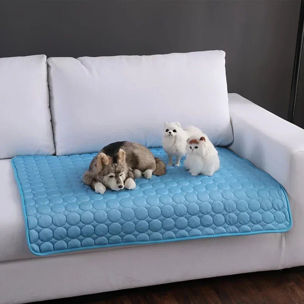 Kølemåtte til Hunde og Katte Komfortabel 1