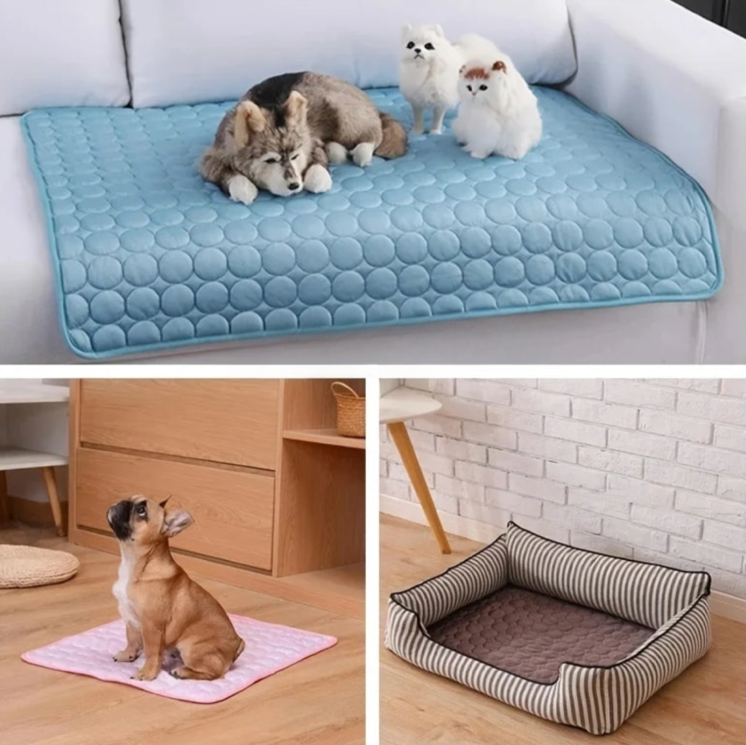 Kølemåtte til Hunde og Katte Komfortabel 2