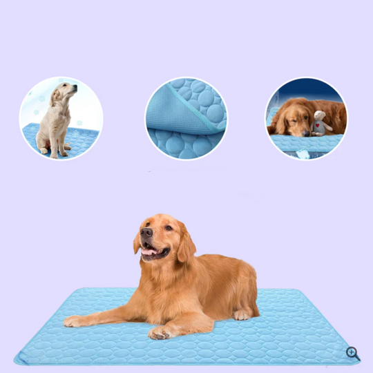 Kølemåtte til hunde med Innovativ Design 1