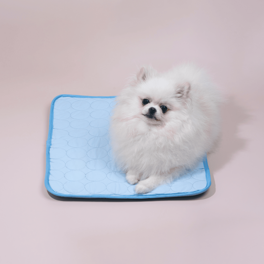 Kølemåtte til hunde med Innovativ Design 2