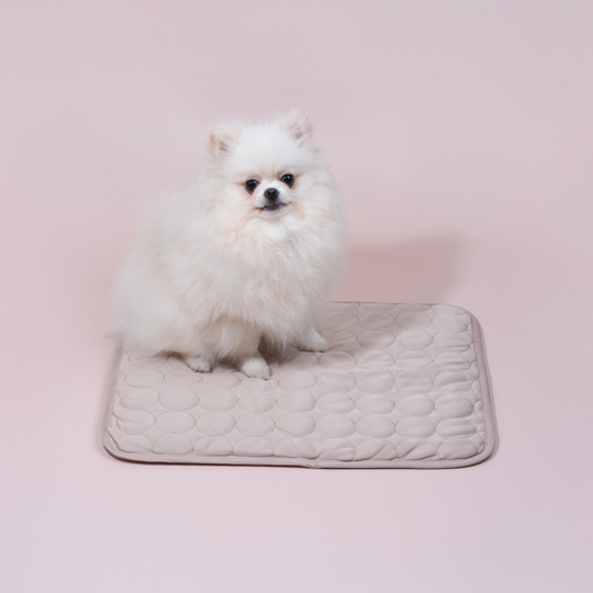 Kølemåtte til hunde med Innovativ Design 3