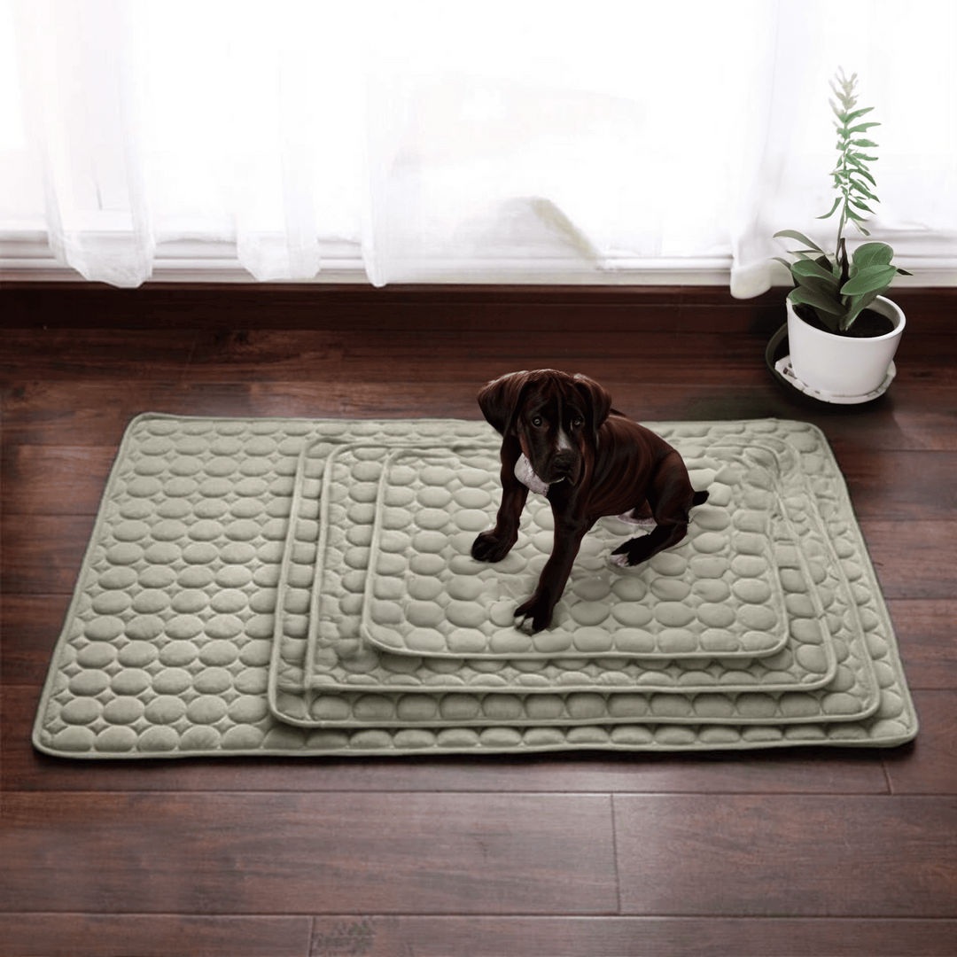 Kølemåtte til hunde med Innovativ Design 4