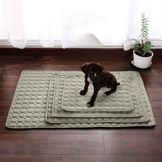 Kølemåtte til hunde med Innovativ Design 4