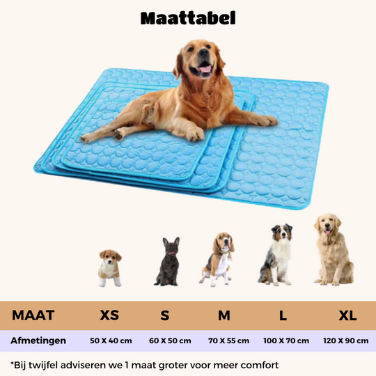 Kølemåtte til hunde med Innovativ Design 7