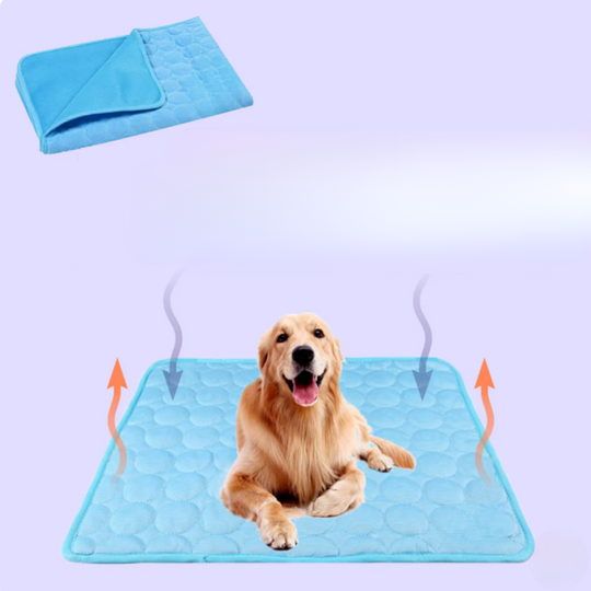 Kølemåtte til hunde med Innovativ Design 8