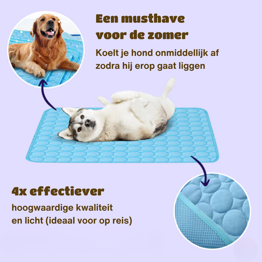 Kølemåtte til hunde med Innovativ Design 9