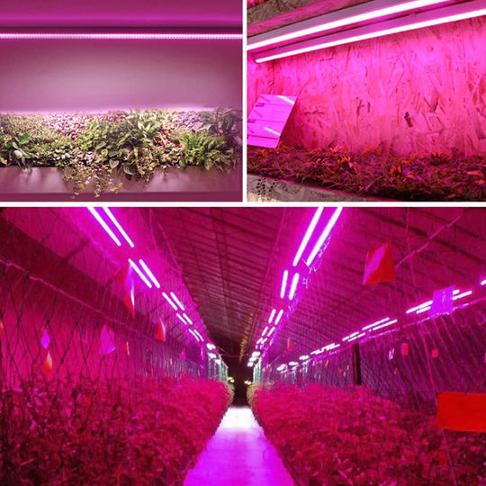 LED Plantelampe Fuld Spektrum 3
