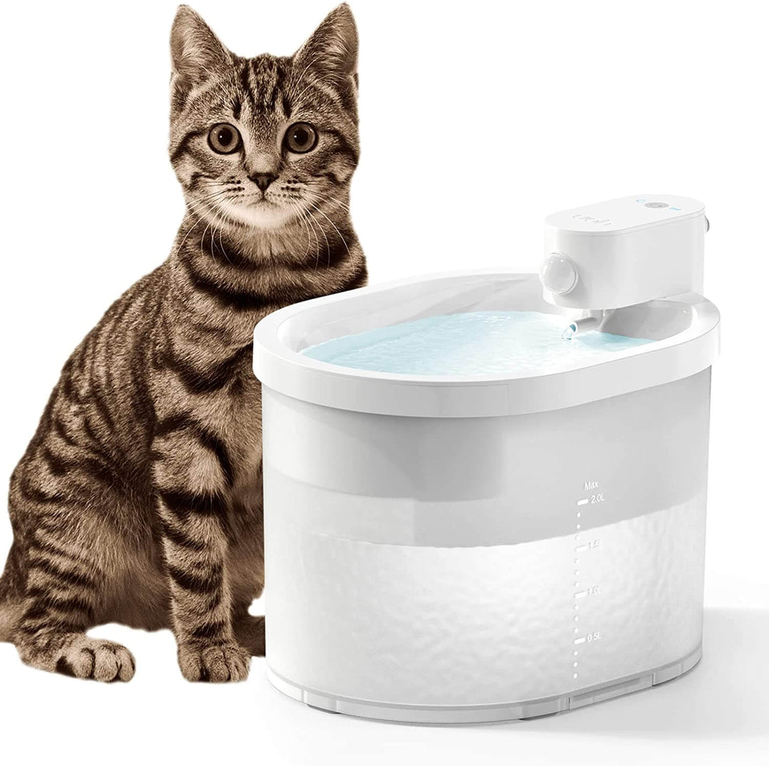Smart Sensor kat vandfontæne