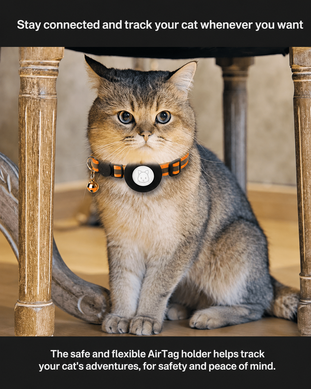 Katte GPS Tracker Halsbånd med Reflekterende Design